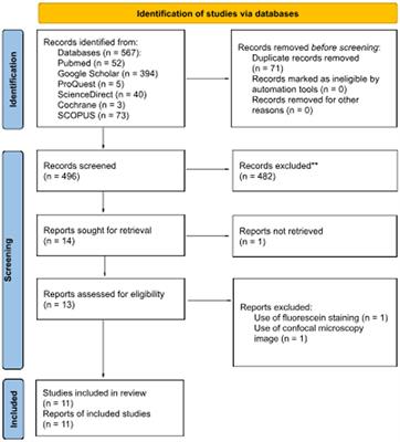 Accuracy of artificial intelligence model for infectious keratitis classification: a systematic review and meta-analysis